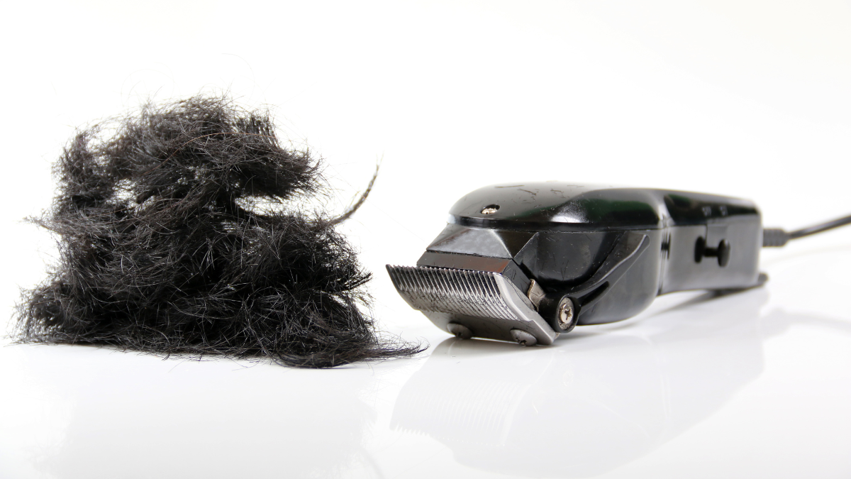 ماكينة قص شعر سوداء احترافية على سطح أبيض مع شعر أسود مشذب - ماكينة قص شعر ممتازة لقص شعر دقيق.